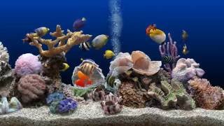 ★ Marine Aquarium ★ UHD Screensaver ★ Blue Ocean ★ 60fps ★ [upl. by Boorman]