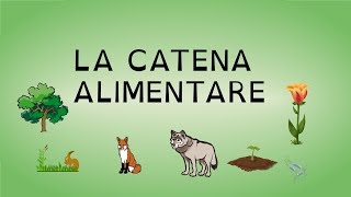 LA CATENA ALIMENTARE [upl. by Shlomo746]