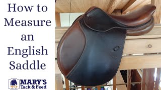 How to Measure an English Saddle [upl. by Nytsrik448]