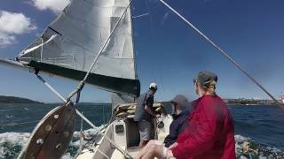 FOLKBOAT SAILING SYDNEY HARBOUR [upl. by Gregorius]