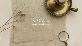 The Making of Kozo Natural Handmade Paper  Studio Vlog 12 [upl. by Adlitam]