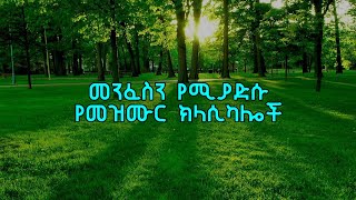 Ethiopian protestant mezmur classical  Ethiopian Instrumentals [upl. by Nnyluqcaj]