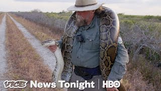 The Bounty Hunters Catching Pythons In Florida HBO [upl. by Newol]