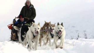 Dog Sledding in Norway [upl. by Alroi]