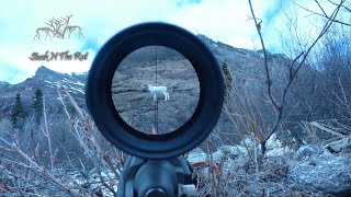 50 BEST HUNTING KILL SHOTS COMPILATION Stuck N The Rut [upl. by Laband900]