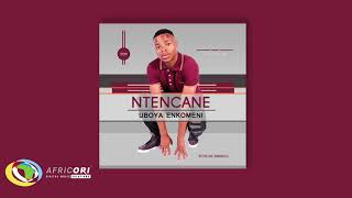 Ntencane  Wabulala Umuzi Official Audio Ntencane [upl. by Nessa129]