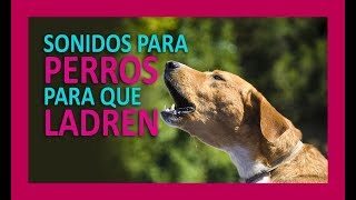 SONIDOS PARA PERROS PARA QUE LADREN [upl. by Sylram]