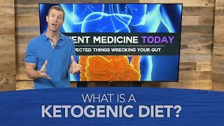 What Is a Ketogenic Diet [upl. by Chastain]