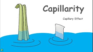 Capillary Rise in Soils [upl. by Oran]