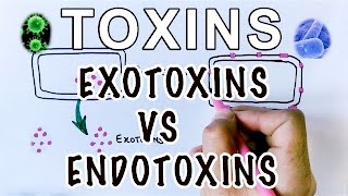 Overview of Toxins  Exotoxins Vs Endotoxins [upl. by Nolaf]