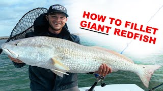 How To Fillet GIANT Redfish EASY [upl. by Revlys]