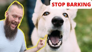 How to Train Your Dog to STOP BARKING at EVERYTHING [upl. by Esital]