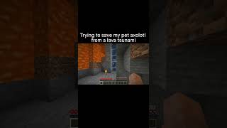 Minecraft Meme [upl. by Aicatsanna]