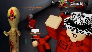 The Roblox DClass Experience [upl. by Platon]