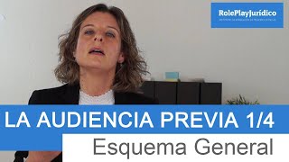 AUDIENCIA PREVIA 1 Esquema General 14 [upl. by Ajiam56]