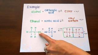 Ester Formation [upl. by Nicolina]