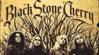 Black Stone Cherry  When The Weight Comes Down Audio [upl. by Lambrecht]