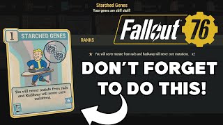 DONT FORGET TO DO THIS  Fallout 76 [upl. by Morvin]