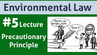 Environmental Law Lecture 5Precautionary Principle [upl. by Hershel]