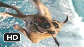 Marmaduke 5 Movie CLIP  Marmaduke Shreds 2010 HD [upl. by Prager]