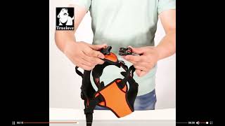 How to put on Truelove nopull harness [upl. by Lorens]