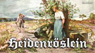 Heidenröslein German folk songinstrumental [upl. by Eleets]