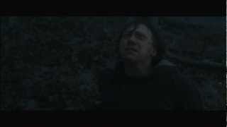 Ron Destroys the Locket  Harry Potter and the Deathly Hallows Part 1 HD [upl. by Coryden]