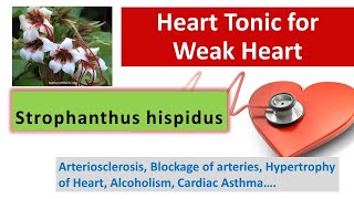 Tonic for Weak Heart  Block arteries  Cardiac Asthma  Strophanthus स्ट्रोफैंथस [upl. by Eladnyl725]