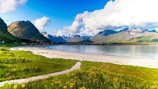 Uplifting Music  light positive happy music Gullrosøya  1 hour [upl. by Eberhard803]