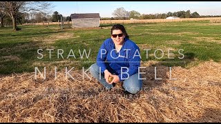 Growing Potatoes the easy way straw no till no dig [upl. by Annaeiluj]