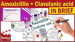 Amoxicillin and Clavulanic Acid  Augmentin  Augmentin Uses Dosage Side Effects amp Precautions [upl. by Renaldo]