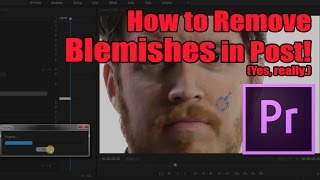 How to Remove BlemishesPimples in Premiere really  Tip Tuesday Episode 027 [upl. by Nwahsyt]