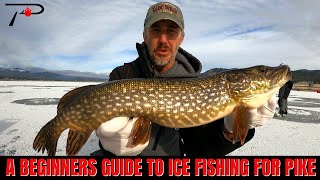 A Beginners Guide To Ice Fishing For Pike [upl. by Mannie]