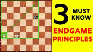 3 Chess Endgame Principles Especially For Beginners [upl. by Reyna]