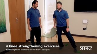 Knee Pain Exercises and Stretches [upl. by Onivla]