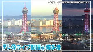 テレＱ ライブ配信（福岡・博多港／たまに大博通） ※緊急時には映像を切り替え随時情報をお届けします。 [upl. by Ball]