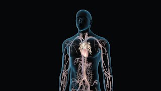 Managing High Cholesterol  Nucleus Health [upl. by Attemaj]