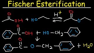 Fischer Esterification Reaction Mechanism  Carboxylic Acid Derivatives [upl. by Fallon]