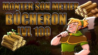 DOFUS 129 Monter son MÉTIER BÛCHERON LVL 100 rapidement [upl. by Naleag514]