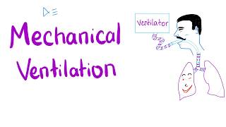 eLearning Mechanical Ventilator System Concept [upl. by Penelopa]