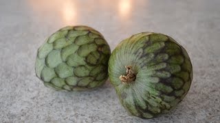 How to Prepare amp Eat Cherimoya  aka Custard Apple Cooking with Kimberly [upl. by Assirehs277]