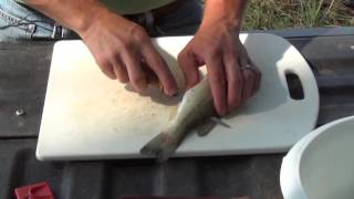 How to Fillet Fish Largemouth Bass [upl. by Bertold]