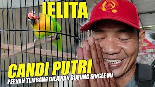 PERNAH MENAKLUKAN CANDI PUTRI [upl. by Spielman]