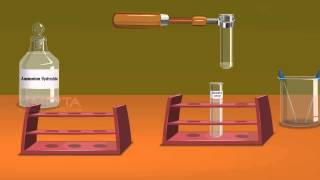 Detection of Elements Lassaigne’s Test  MeitY OLabs [upl. by Caia107]