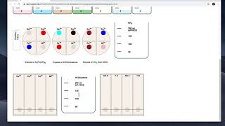 Lab 3 Paper Chromatography Virtual Experiment [upl. by Rustie]