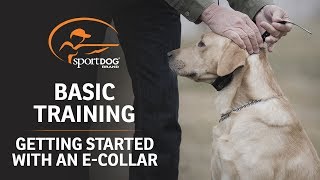 Basic Training  Getting Started with an ECollar [upl. by Annawd]