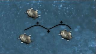 WSO Water Treatment Grade 1 Coagulation amp Flocculation Ch 8 [upl. by Frederica]