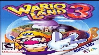 TAS GBC Wario Land 3 100 Treasure [upl. by Barnebas]