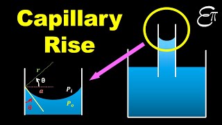 🔴 Capillary Rise  Surface Tension  for Class 11 in HINDI [upl. by Candida812]