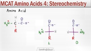 Amino Acid Stereochemistry R and S vs D and L Configuration [upl. by Hametaf]